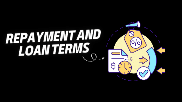 Repayment and Loan Terms 